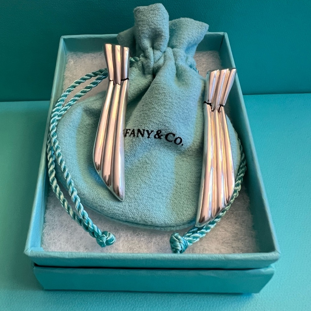 🌸🌸 RARE Authentic Tiffany & Co. Vintage Groove Hinged earrings